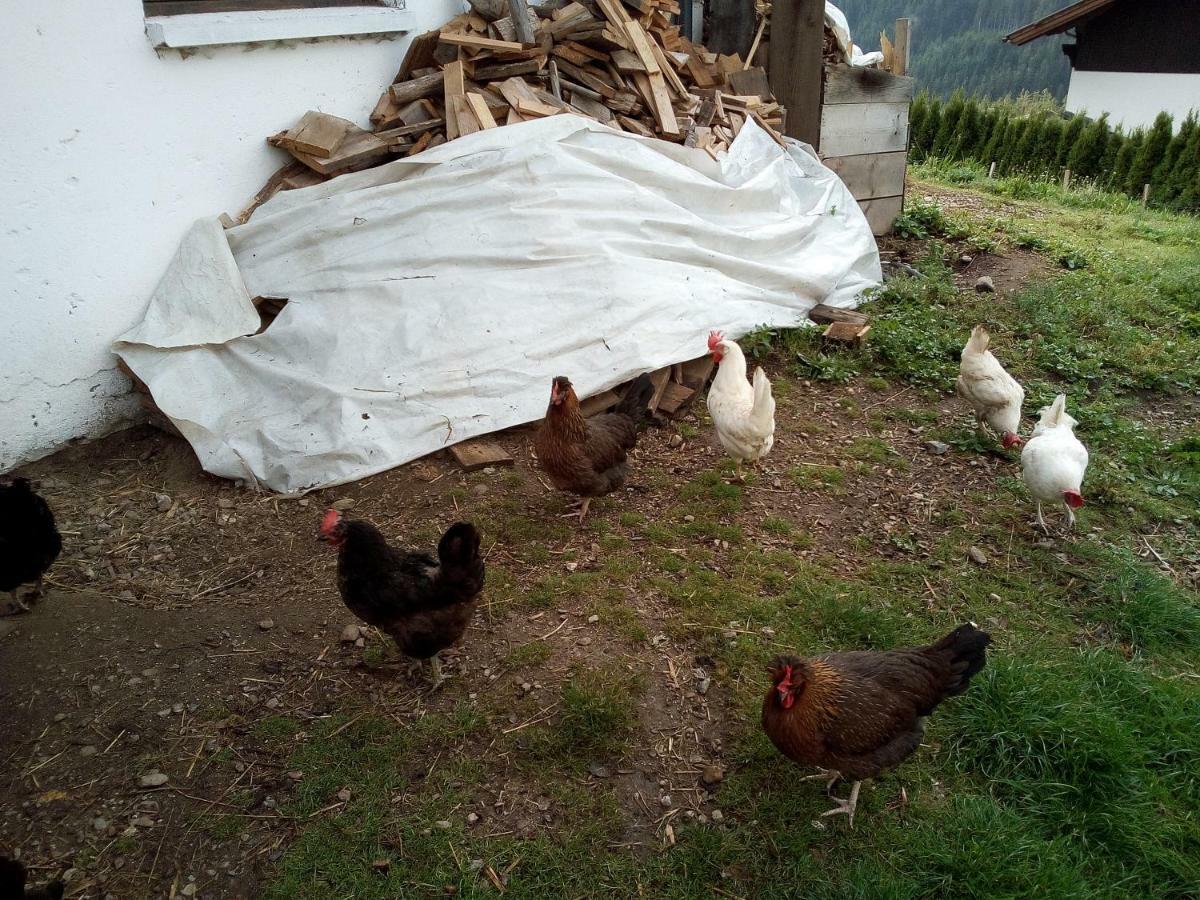 Janserhof 오베르틸리아치 외부 사진